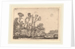 Herd of Sheep near the Hague, 1621 by Willem Buytewech