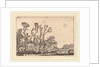Herd of Sheep near the Hague, 1621 by Willem Buytewech