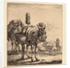 Two Mules by Karel Dujardin