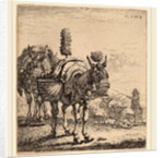 Two Mules by Karel Dujardin