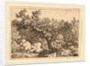 Sportsman near a Large Tree by Allart van Everdingen