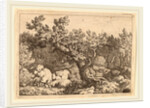 Sportsman near a Large Tree by Allart van Everdingen