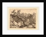 Sportsman near a Large Tree by Allart van Everdingen
