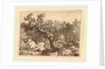 Sportsman near a Large Tree by Allart van Everdingen