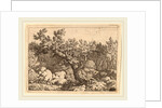 Sportsman near a Large Tree by Allart van Everdingen