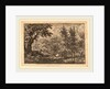 Fir Trees at the Water by Allart van Everdingen