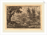 Fir Trees at the Water by Allart van Everdingen