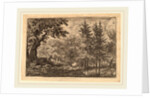 Fir Trees at the Water by Allart van Everdingen