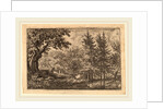 Fir Trees at the Water by Allart van Everdingen