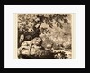 Reynard in Council with the Lion and Lioness by Allart van Everdingen