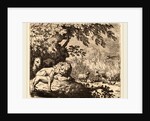 Reynard in Council with the Lion and Lioness by Allart van Everdingen