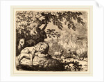 Reynard in Council with the Lion and Lioness by Allart van Everdingen