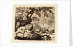 Reynard in Council with the Lion and Lioness by Allart van Everdingen