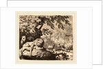 Reynard in Council with the Lion and Lioness by Allart van Everdingen