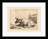 Cow Lying Down near a Fence, 1650 by Paulus Potter