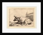 Cow Lying Down near a Fence, 1650 by Paulus Potter