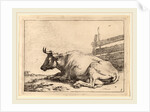 Cow Lying Down near a Fence, 1650 by Paulus Potter