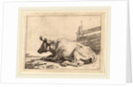 Cow Lying Down near a Fence, 1650 by Paulus Potter