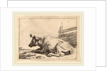 Cow Lying Down near a Fence, 1650 by Paulus Potter