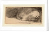 Sleeping Puppy, c. 1640 by Rembrandt van Rijn