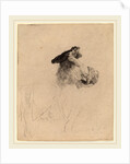 Old Man Shading His Eyes with His Hand, c. 1639 by Rembrandt van Rijn