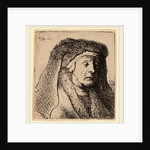 Bust of an Old Woman in a Furred Cloak and Heavy Headdress, 1631 by Rembrandt van Rijn and Studio of Rembrandt van Rijn
