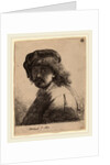 Self-Portrait in a Cap and Scarf with the Face Dark, 1633 by Rembrandt van Rijn