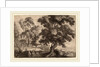 Landscape with Two Deer by Ignatius van der Stock