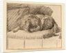 Lying Dog, 1777 by Cornelis Ploos van Amstel and Cornelis Brouwer