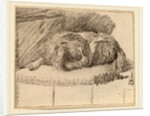 Lying Dog, 1777 by Cornelis Ploos van Amstel and Cornelis Brouwer