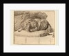 Lying Dog, 1777 by Cornelis Ploos van Amstel and Cornelis Brouwer