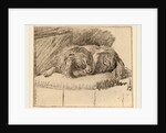 Lying Dog, 1777 by Cornelis Ploos van Amstel and Cornelis Brouwer