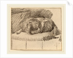 Lying Dog, 1777 by Cornelis Ploos van Amstel and Cornelis Brouwer