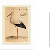 The White Stork by Jan Christiaan Sepp
