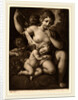 Venus and Amor, c. 1800 by Johann Peter Pichler