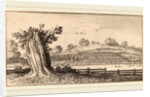 Albury, 1645 by Wenceslaus Hollar