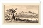 Albury, 1645 by Wenceslaus Hollar