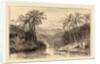 Avisavella, Ceylon by Edward Lear