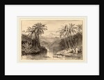 Avisavella, Ceylon by Edward Lear