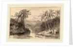 Avisavella, Ceylon by Edward Lear