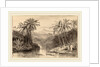 Avisavella, Ceylon by Edward Lear