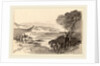 View across a Bay by Edward Lear