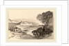 View across a Bay by Edward Lear