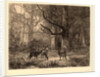 Forêt de Fontainebleau, Swiss by Karl Bodmer