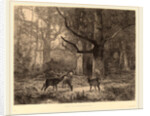 Forêt de Fontainebleau, Swiss by Karl Bodmer