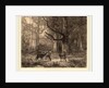 Forêt de Fontainebleau, Swiss by Karl Bodmer