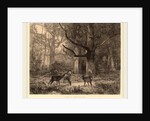 Forêt de Fontainebleau, Swiss by Karl Bodmer