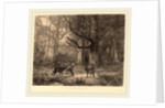 Forêt de Fontainebleau, Swiss by Karl Bodmer