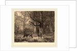 Forêt de Fontainebleau, Swiss by Karl Bodmer