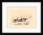 Oies bernacles, Swiss by Karl Bodmer